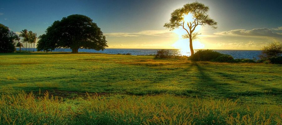 24701-nature-natural-beauty